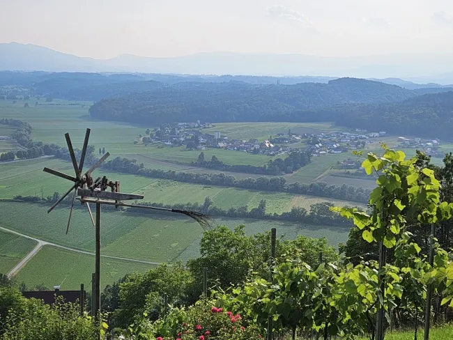 Aussicht.jpg