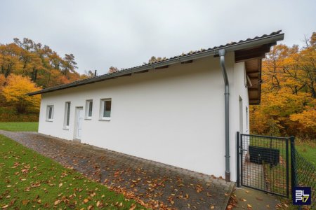 Haus Wiesfleck 03.png