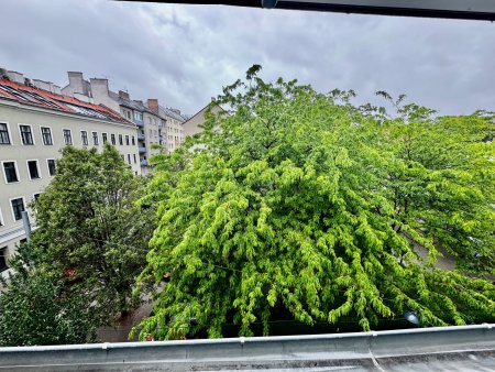 Aussicht aus der Wohnküche