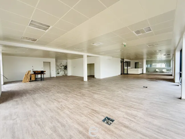 Moderne Gewerbeflächen in Vorchdorf zu vermieten - Bild