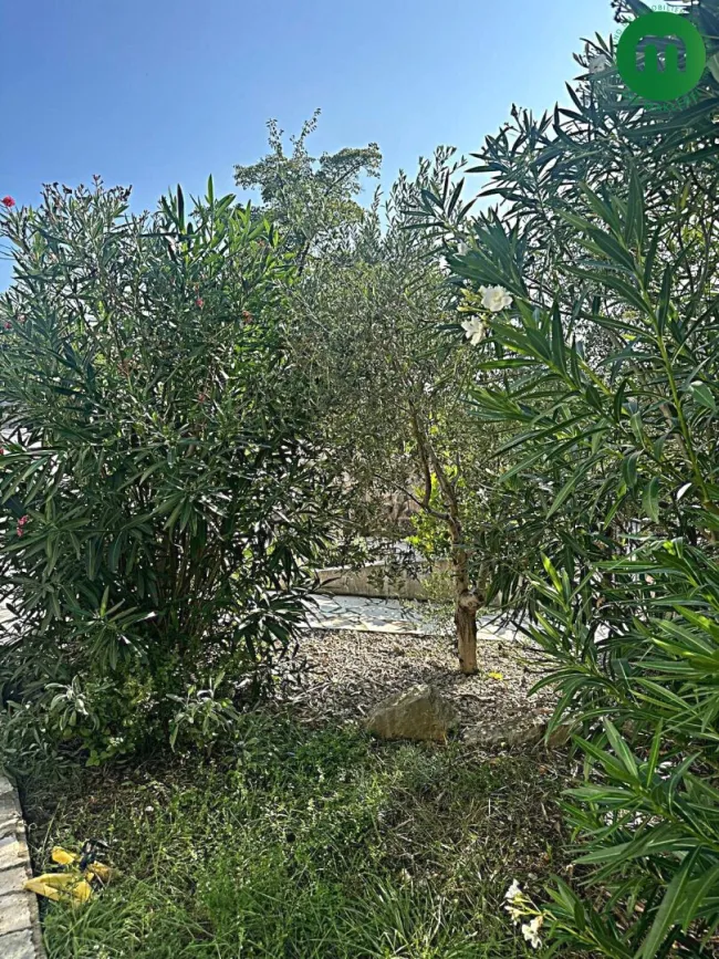 landestypische Vegetation