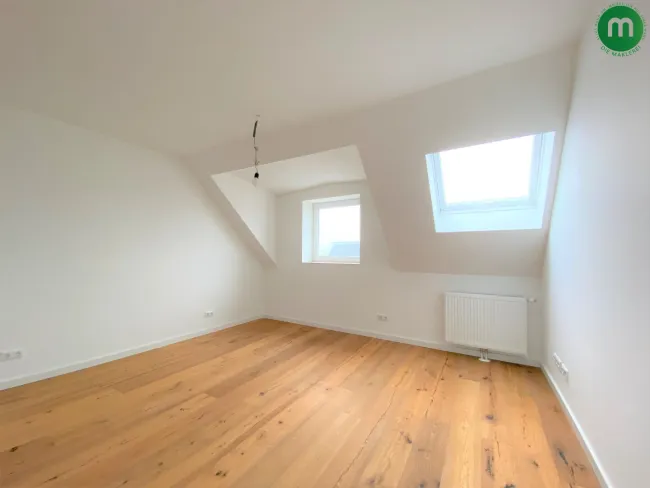Zimmer 1