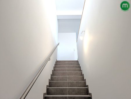 DG Traum – Erstbezug am Naherholungsgebiet Lobau