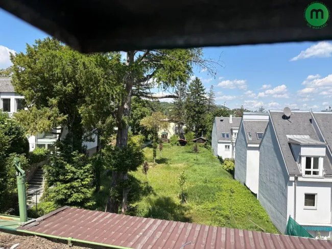 Blick in den Garten