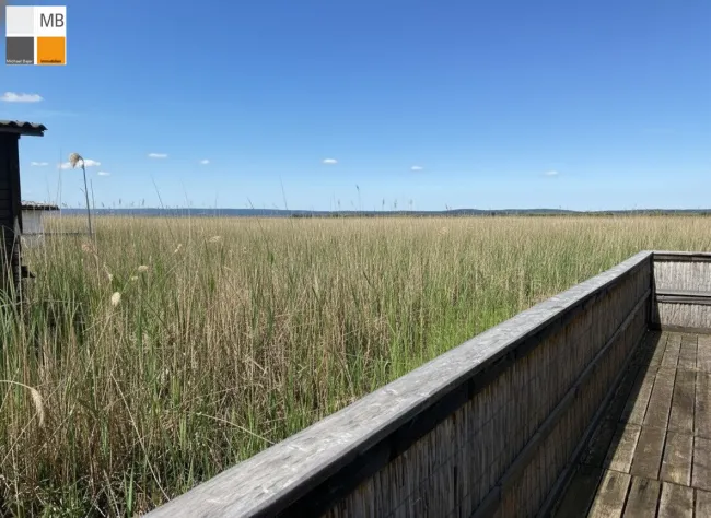 Weitblick übers Schilf und See
