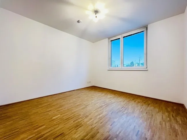 Zimmer