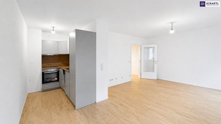 Einzelwohnraum, Küchenbereich