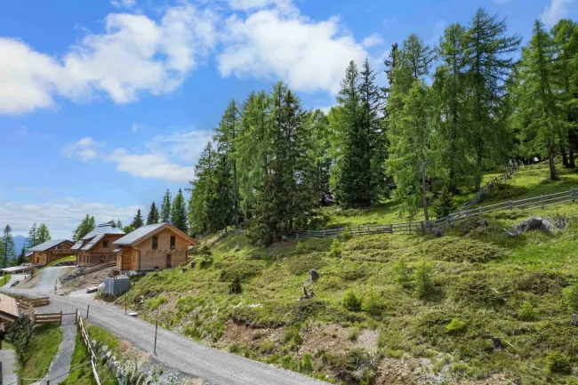 Zweitwohnsitzgrundstück am Stubeck in Kärnten - Bild