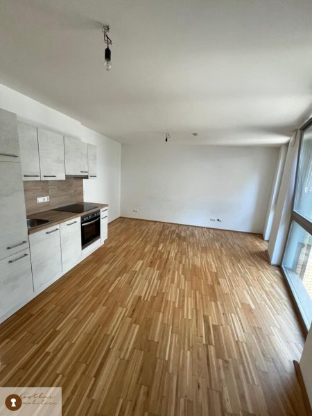 Höchst originelles & sehr schönes 1 Zimmernest in der Griesgasse zur Miete.