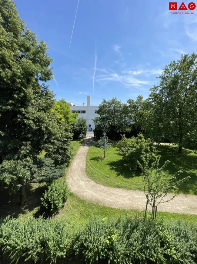 Aussicht Balkon/Loggia