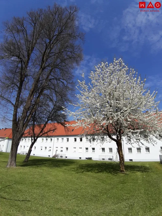 Innenhof