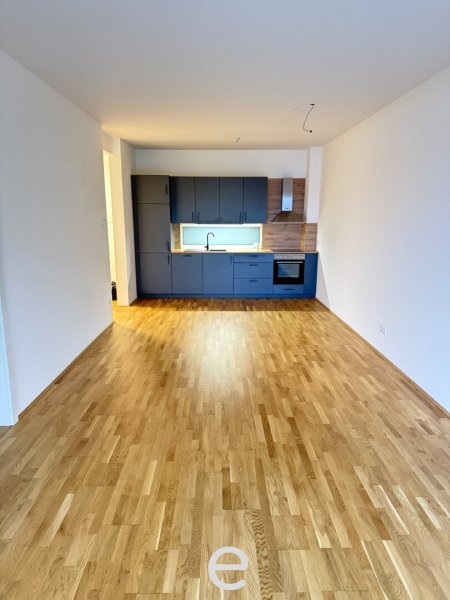 Premium Apartment inkl. Balkon und TGP in Wels