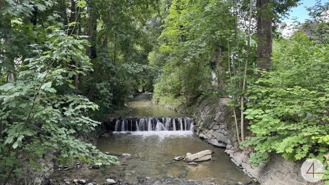 Natur pur vor der Türe
