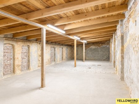 Sanierungsbedürftiges Townhouse im Hof in Ruhelage im Herzen von Ottakring