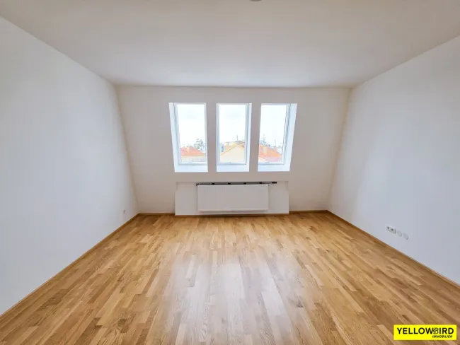 Zimmer 2