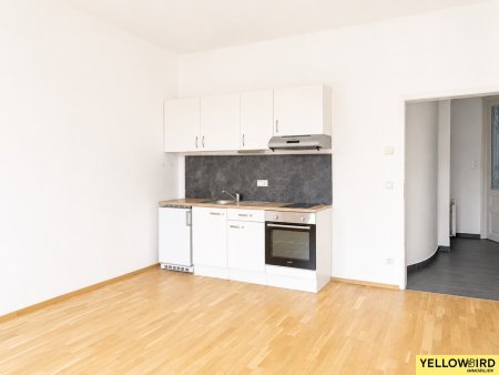 Lichtdurchflutete 1-Zimmer-Altbauwohnung mit hohen Decken in zentraler Ruhelage in Ottakring