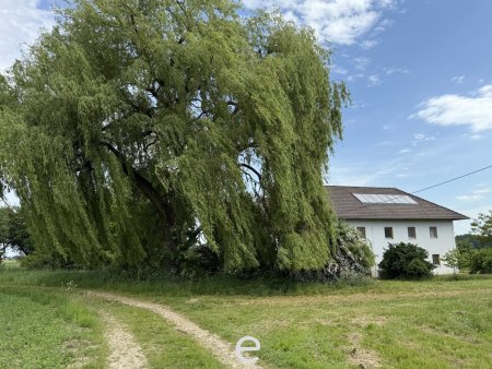 Vierkanthof in idyllischer Alleinlage
