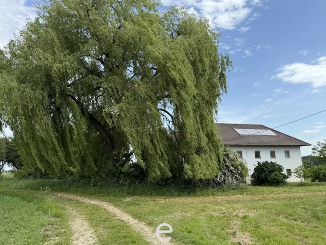Vierkanthof in idyllischer Alleinlage - Bild