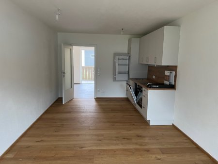 Moderne Garçonnière mit Balkon & Tiefgaragenplatz in Golling