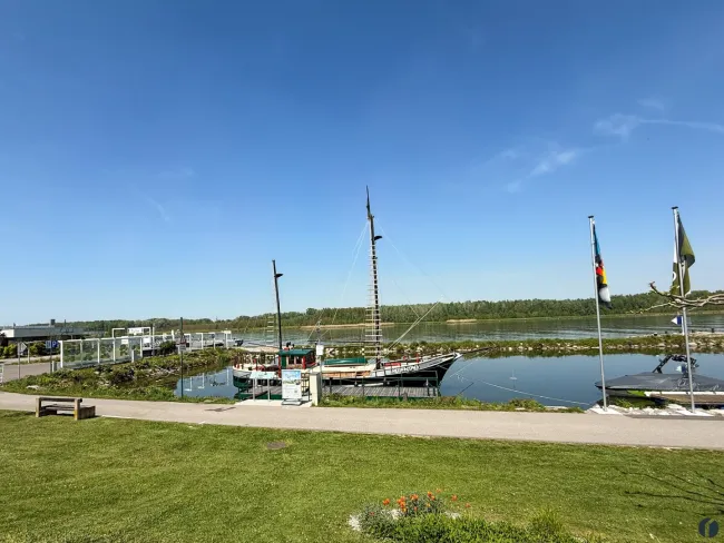 die Umgebung