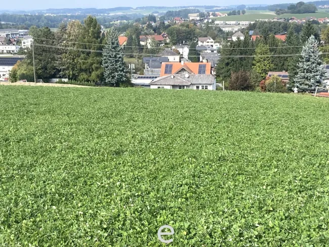 Noch 3 Bauparzellen in TOP-Lage in Eberschwang - Bild