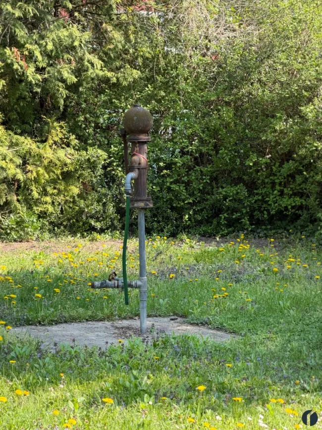 Brunnen im Garten