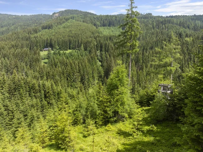 Ein Tal nur für Sie - Exklusives Naturanwesen mit Eigenjagd - Bild