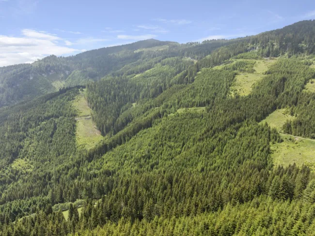 Ein Tal nur für Sie - Exklusives Naturanwesen mit Eigenjagd - Bild
