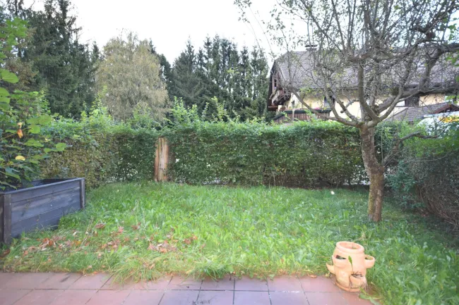 Garten - Kleine gemütliche Garconniere mit Terrasse und Garten Miete Grödig Salzburg