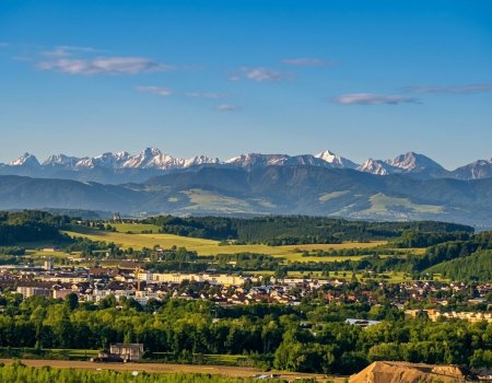 Baugrund 1.525 m² | Unverbaubarer Panoramablick über Linz | Sackgassenlage | Steyregg, OÖ