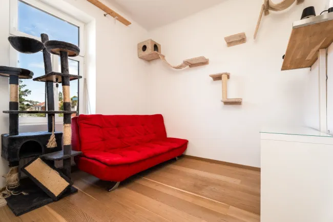 1. Stock: Zimmer