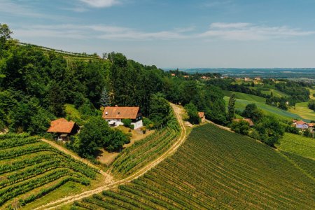 Südsteirische Alleinlage umgeben von Weinbergen mit traumhaftem Panorama!