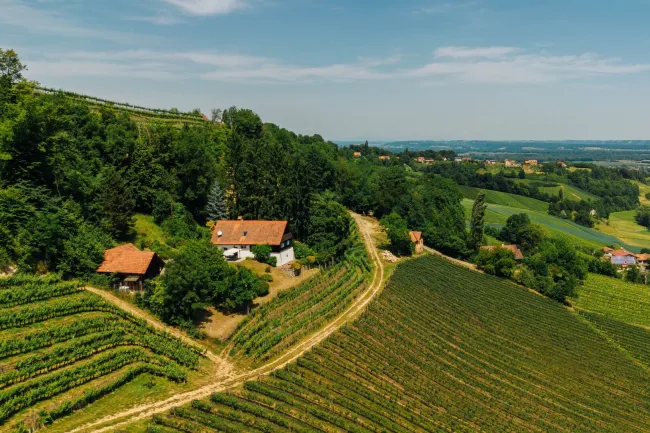 Südsteirische Alleinlage umgeben von Weinbergen mit traumhaftem Panorama! - Bild