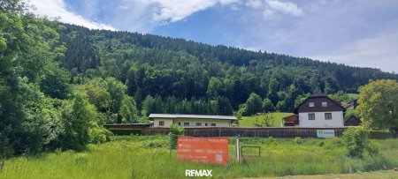 Grundstück mit Blick nach Süden