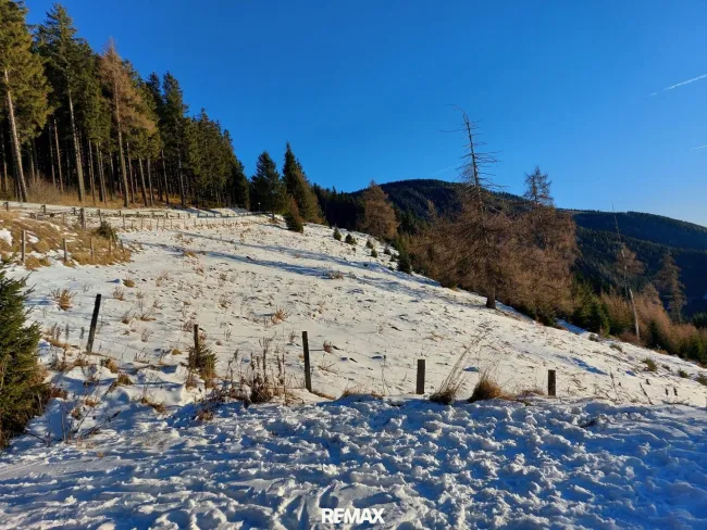 Bauland in sonniger Aussichtslage auf 1.500 m