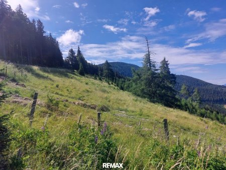 Seitliche Ansicht des Grundstücks