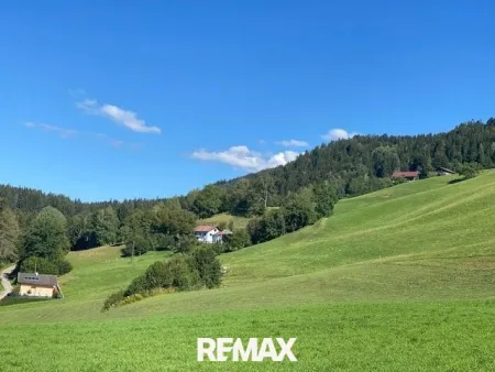 Ruhiges Grundstück in der Natur