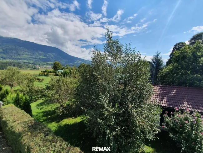 Grün und Natur