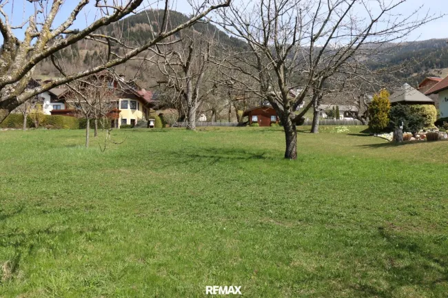 Blick nach Norden