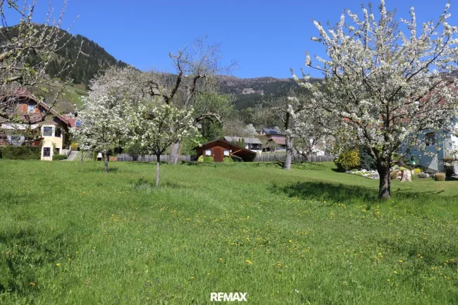 Blick nach Norden