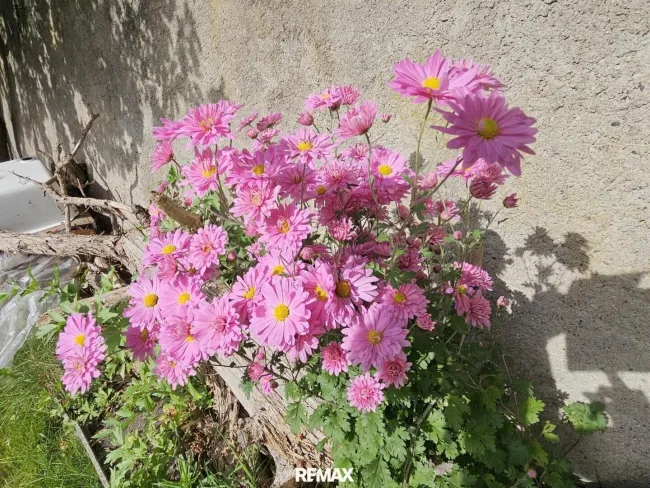 für Blumenliebhaber