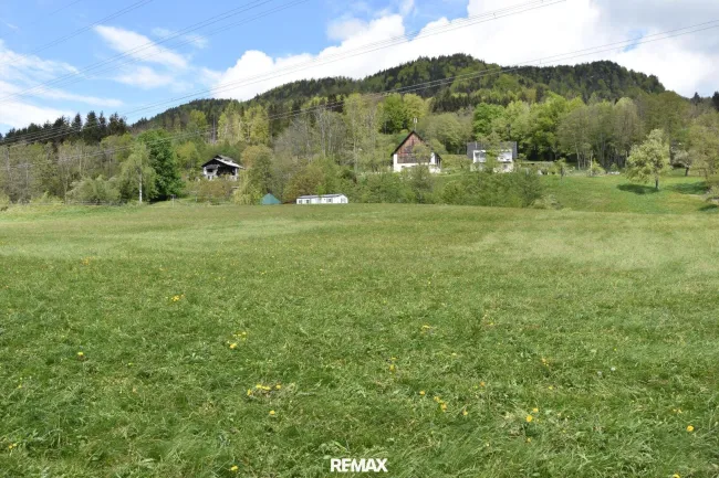 Blick über die Wiese