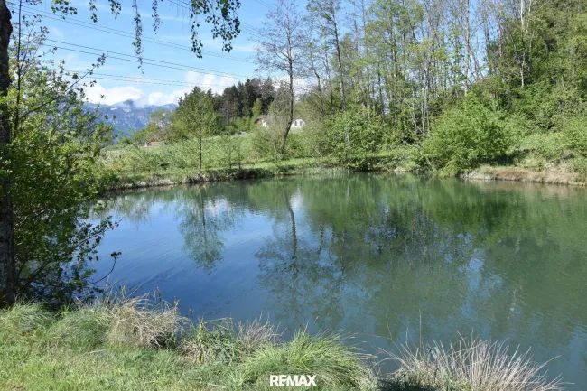 Natur