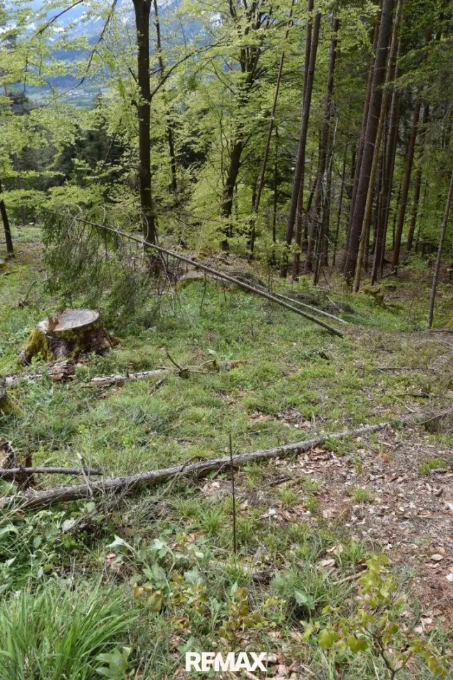 Brennholzvorrat