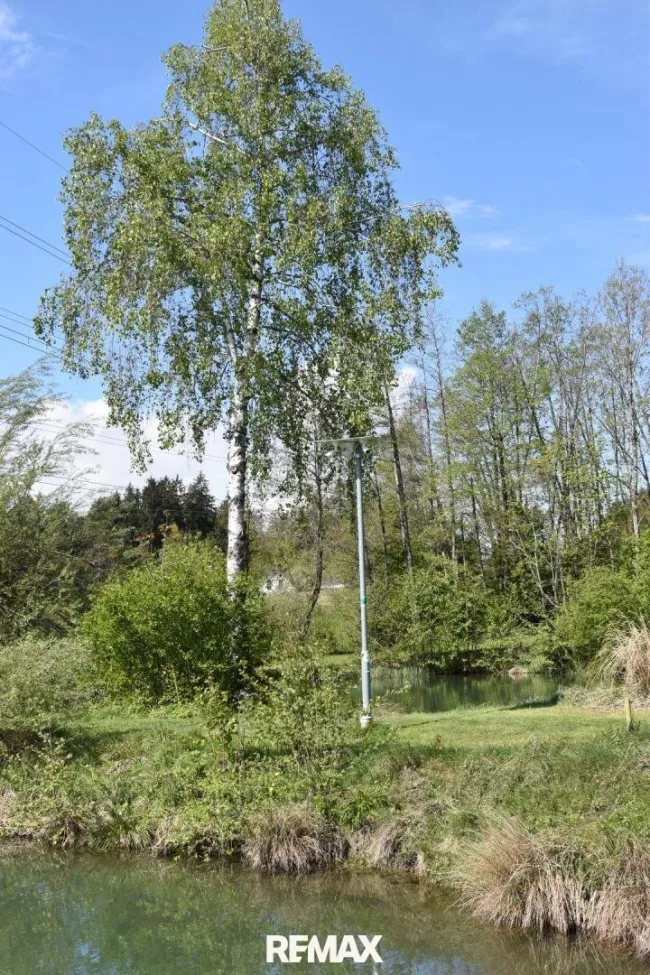 Videoüberwachung