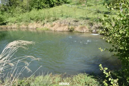 springt ein Fischlein...