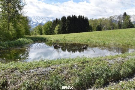 Biotop am Grundstück