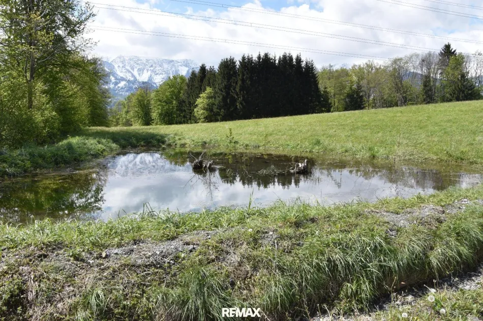 Panoramablick