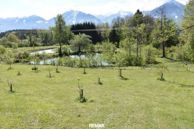 Blick vom Obstgarten
