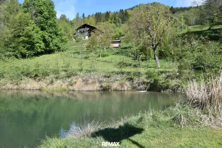 Teich mit Obstgarten